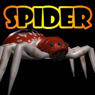 Logo Spider